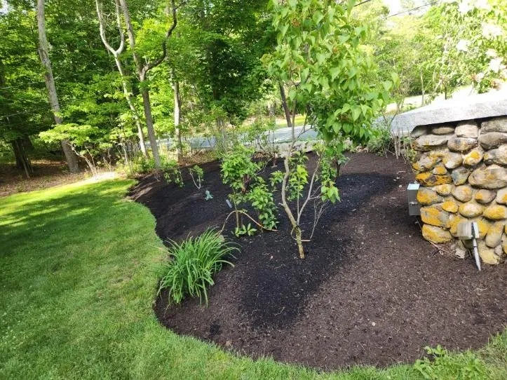 Local lawn care service for residential properties across Bellingham, MA - Lopez Landscaping Full Services