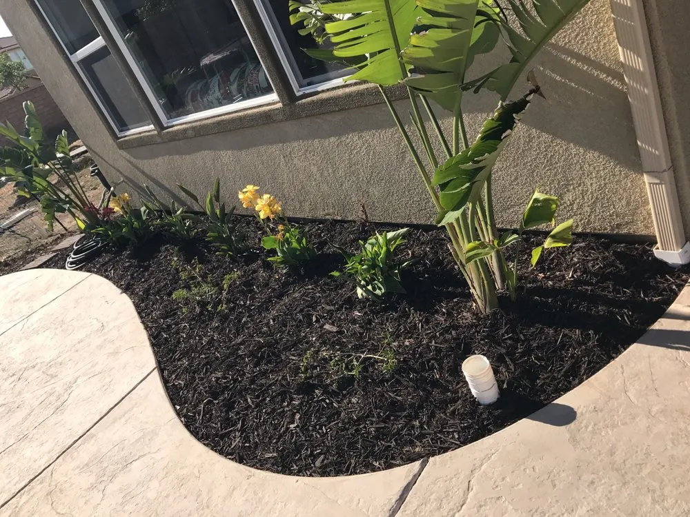 Top-rated yard cleanup service for year-round maintenance in Homeland, CA by Lopez Landscaping