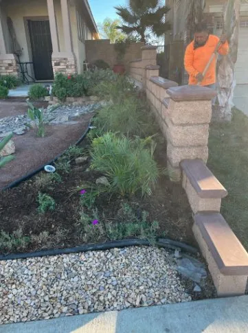Custom yard maintenance in Homeland, CA by Lopez Landscaping