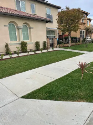 Custom landscape installation in Homeland, CA by Lopez Landscaping