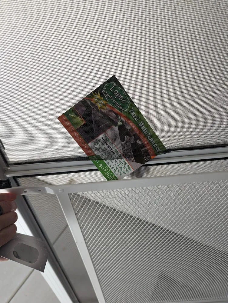 Reliable yard cleanup service in Homeland, CA by Lopez Landscaping