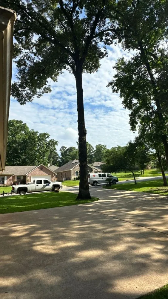 Trusted landscaping services in Huntsville, TX by Lopez Landscaping