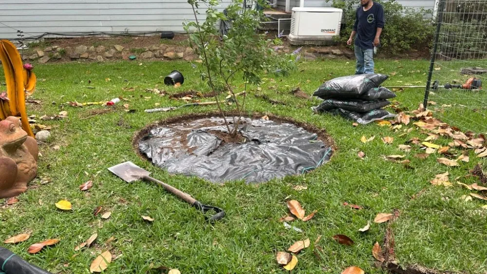 Professional outdoor landscaping with custom design across Huntsville, TX - Lopez Landscaping