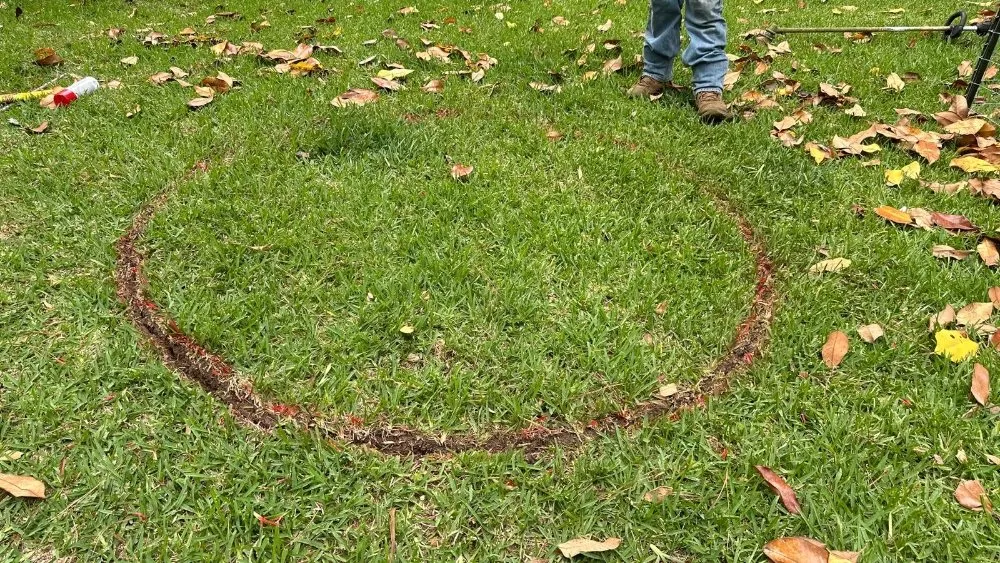 Top-rated residential landscaping in Huntsville, TX - Lopez Landscaping