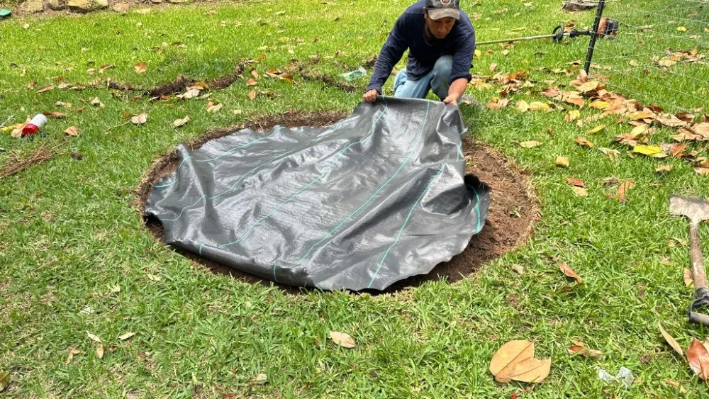 Local yard maintenance for residential properties across Huntsville, TX - Lopez Landscaping