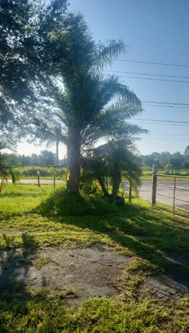 Local landscape design in Lakeland, FL - Lopez Landscaping