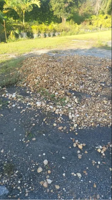 Expert outdoor landscaping for year-round maintenance across Lakeland, FL - Lopez Landscaping