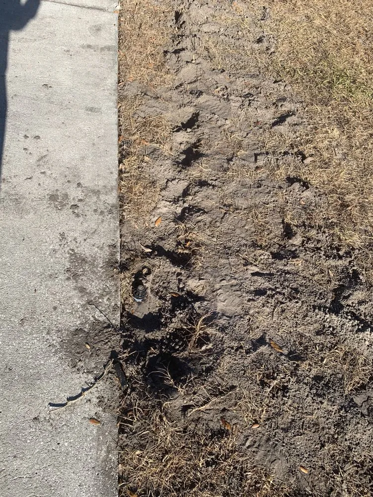 Local yard maintenance for homes across Lakeland, FL - Lopez Landscaping