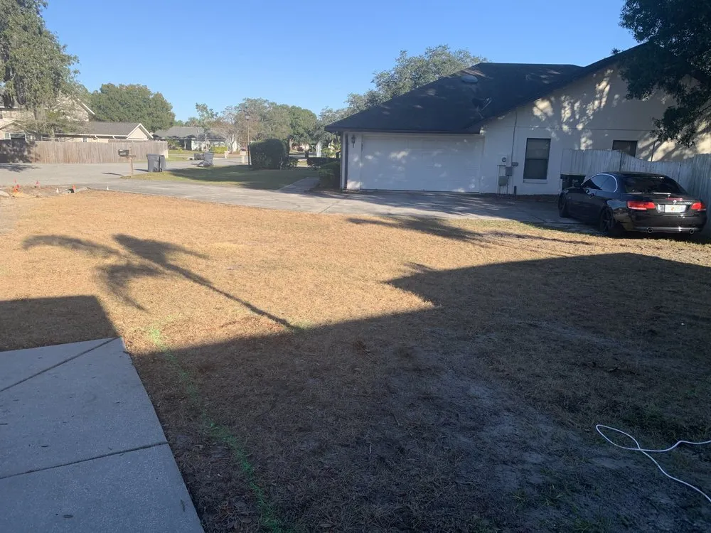 Trusted yard maintenance in Lakeland, FL - Lopez Landscaping