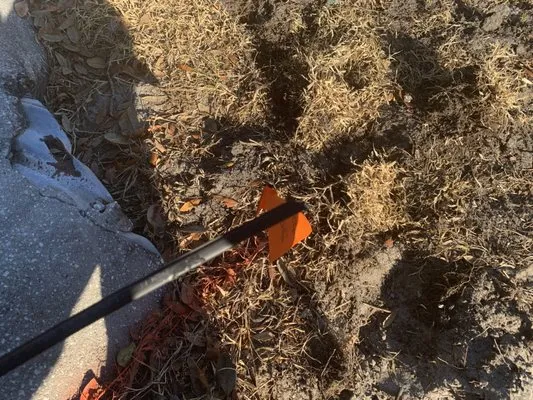 Lopez Landscaping Logo