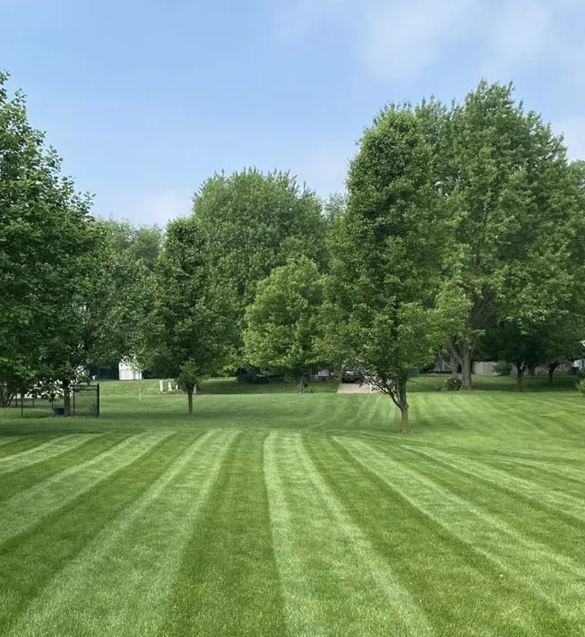 Top-rated lawn care service experts serving Laredo, TX - Lopez Landscaping