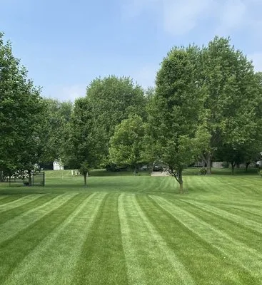 Lopez Landscaping Logo