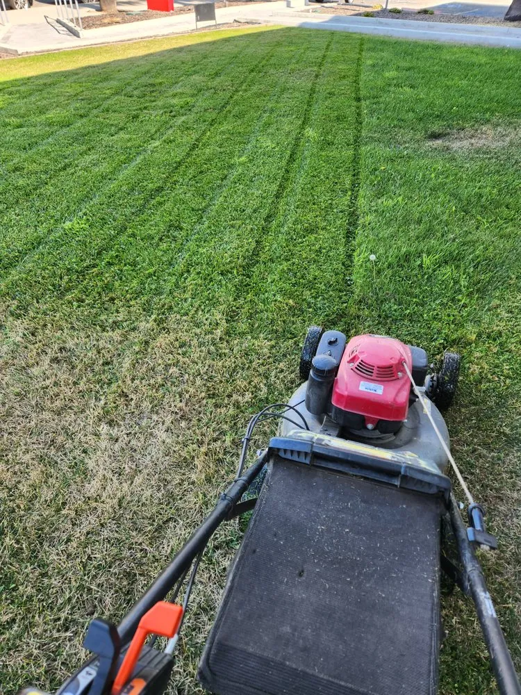 Top-rated outdoor landscaping in Bakersfield, CA by Lopez Landscaping Maintenance