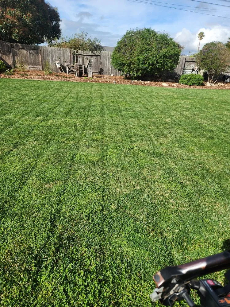 Expert garden landscaping for homes in Bakersfield, CA by Lopez Landscaping Maintenance