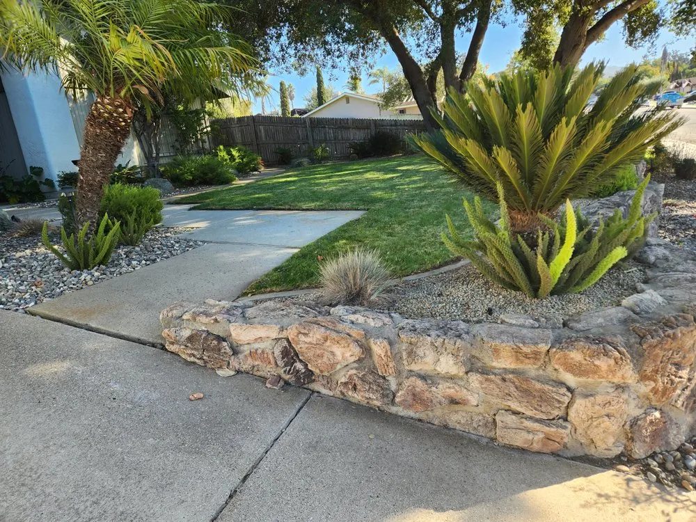 Affordable landscape installation for outdoor upgrades in Bakersfield, CA by Lopez Landscaping Maintenance