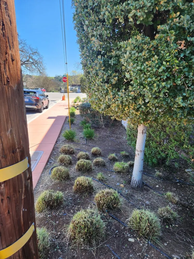 Top-rated garden landscaping experts serving Bakersfield, CA - Lopez Landscaping Maintenance