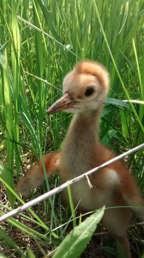 Affordable garden landscaping for residential properties across Marengo, IL - Lopez Landscaping