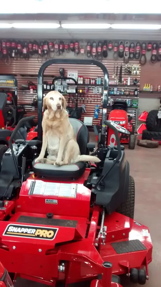 Affordable yard cleanup service in Marengo, IL by Lopez Landscaping