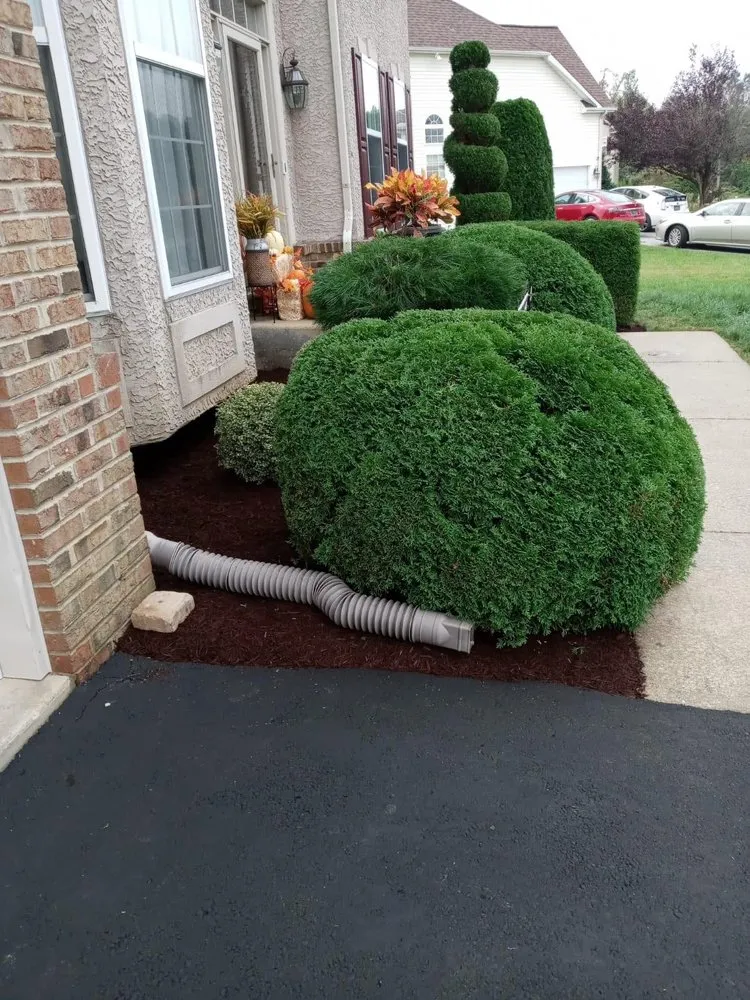 Expert garden landscaping with custom design in Marydel, MD by Lopez Landscaping