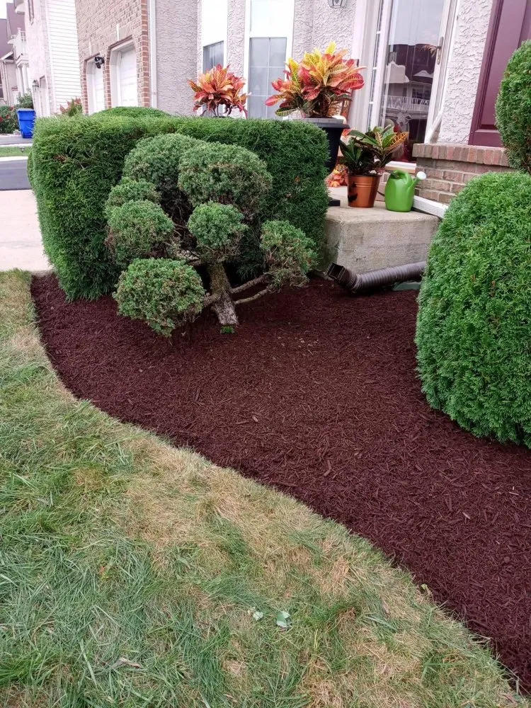 Professional landscaping services in Marydel, MD by Lopez Landscaping