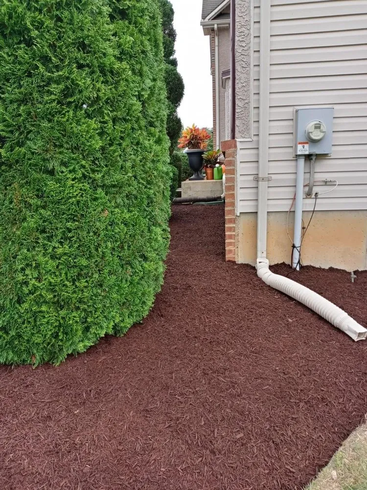 Local lawn care service in Marydel, MD - Lopez Landscaping