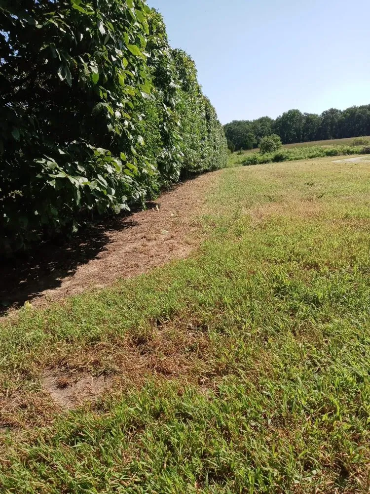 Reliable yard maintenance in Marydel, MD by Lopez Landscaping