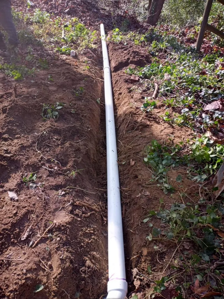 Custom yard cleanup service for outdoor upgrades in Marydel, MD by Lopez Landscaping