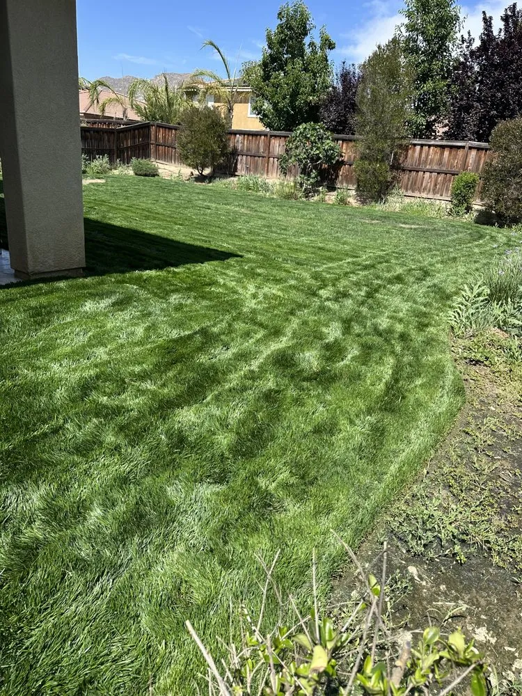 Custom lawn mowing service near you in Murrieta, CA by Lopez landscaping