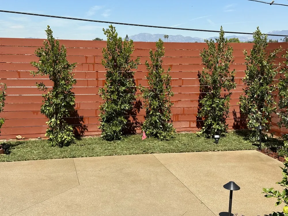 Local garden landscaping for year-round maintenance across Murrieta, CA - Lopez Landscaping