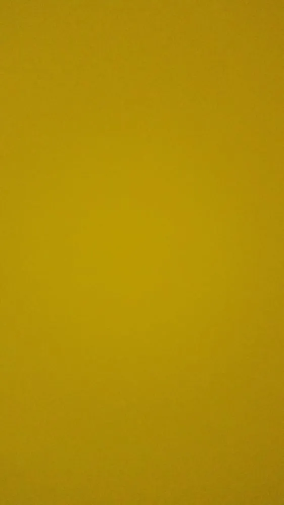 Affordable residential landscaping experts serving Oxnard, CA - Lopez Landscaping