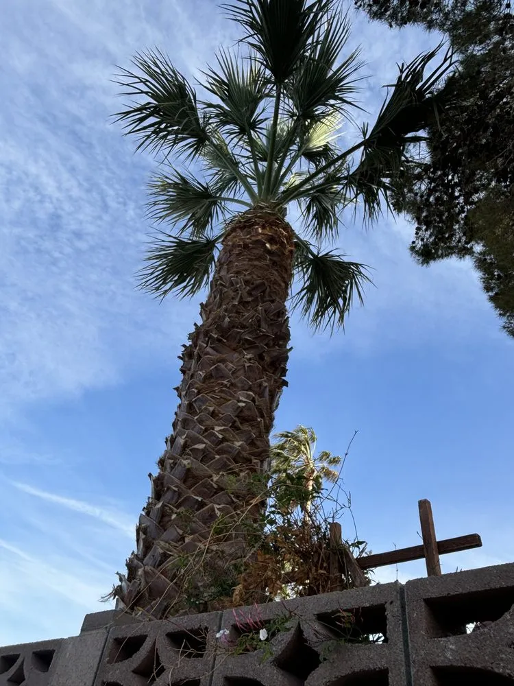 Top-rated lawn care service in Ridgecrest, CA by Lopez Landscaping