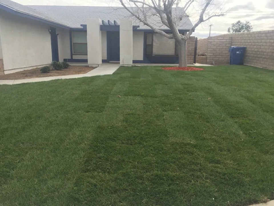 Professional landscape design with custom design across Ridgecrest, CA - Lopez Landscaping