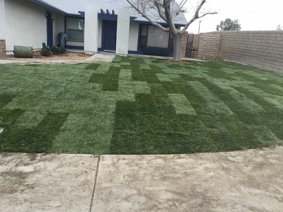 Local landscape design experts serving Ridgecrest, CA - Lopez Landscaping