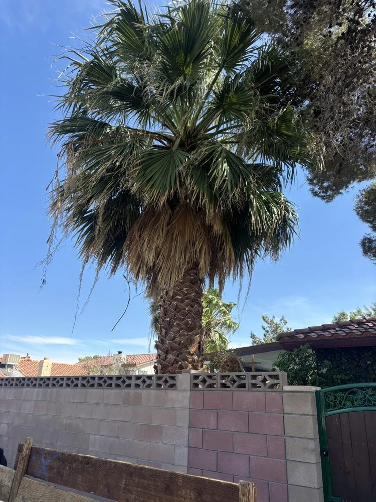 Local garden landscaping with custom design in Ridgecrest, CA by Lopez Landscaping