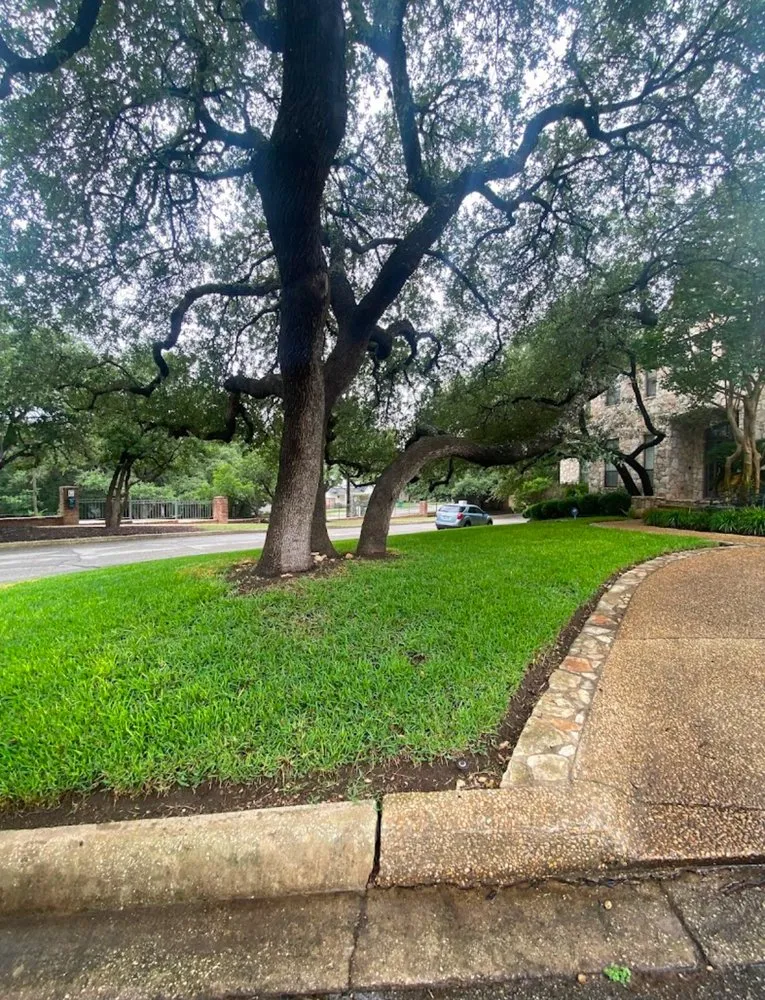 Top-rated outdoor landscaping for beautiful yards in San Antonio, TX by Lopez Landscaping