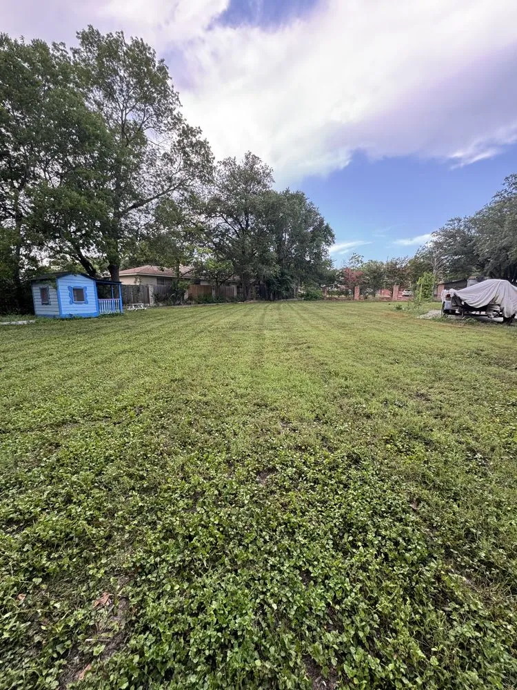 Affordable landscape installation in San Antonio, TX by Lopez Landscaping