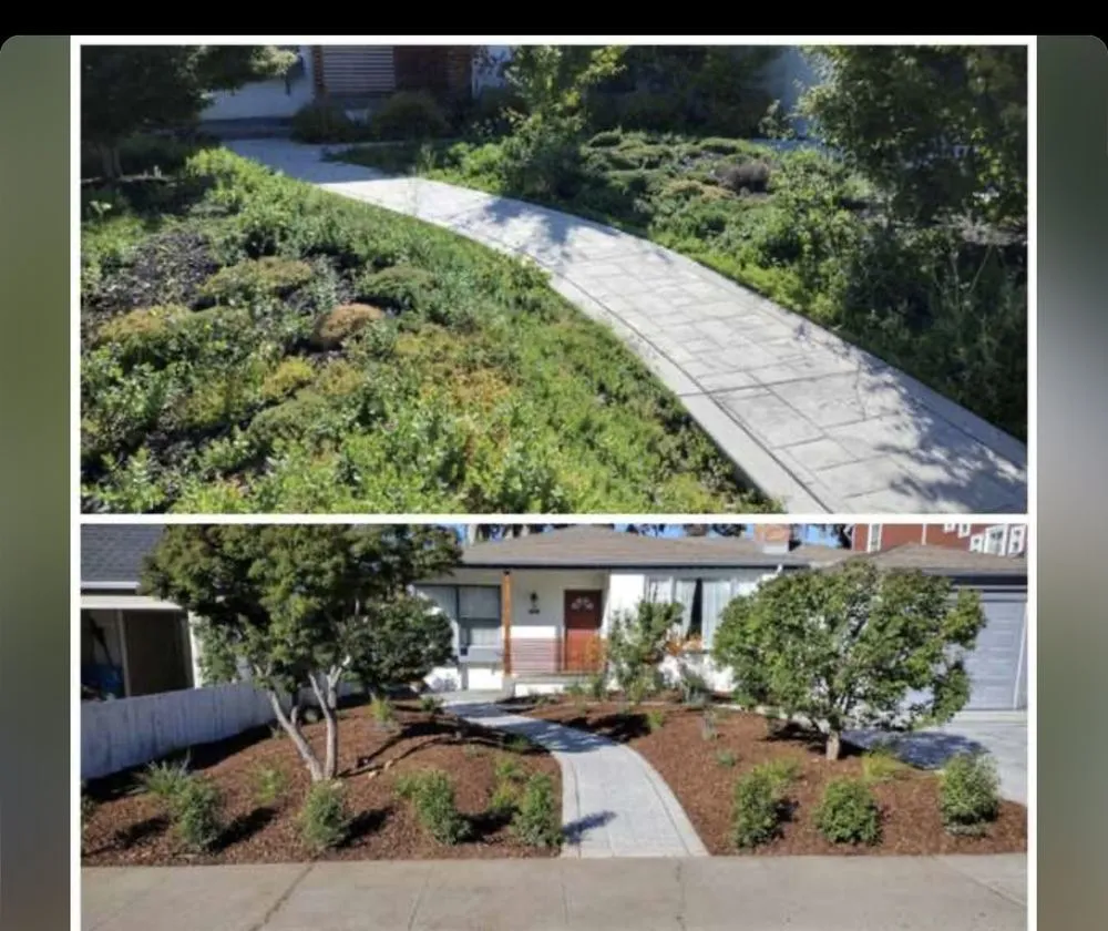 Professional yard cleanup service experts serving San Mateo, CA - Lopez Landscaping