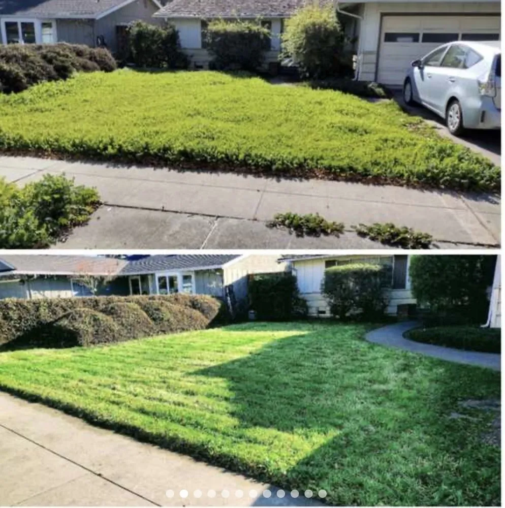 Affordable landscape installation experts serving San Mateo, CA - Lopez Landscaping