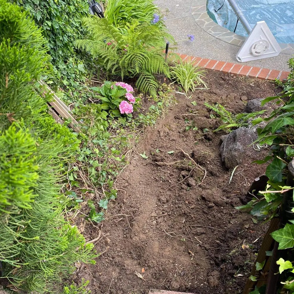 Expert outdoor landscaping in San Pablo, CA by Lopez Landscaping