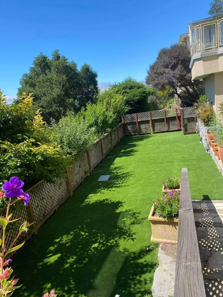 Affordable landscaping services in San Pablo, CA by Lopez Landscaping