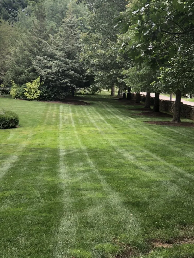 Custom residential landscaping for outdoor upgrades across North Providence, RI - Lopez Landscaping Service