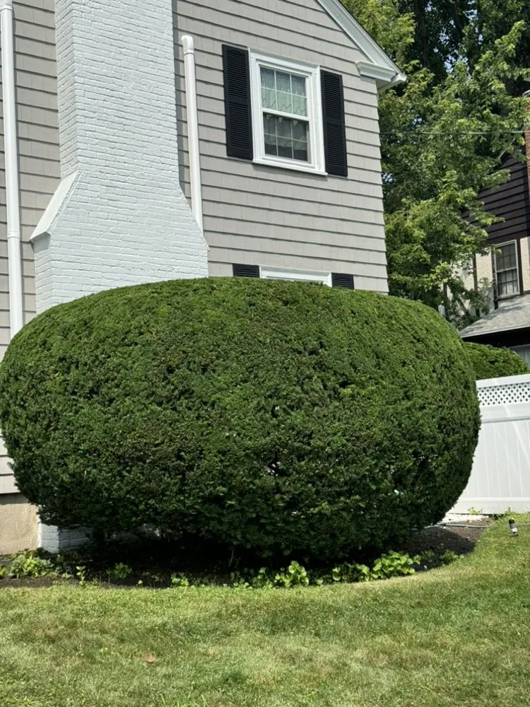 Expert garden landscaping in North Providence, RI - Lopez Landscaping Service