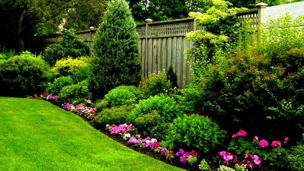 Reliable outdoor landscaping in Ventura, CA - Lopez Landscaping Service