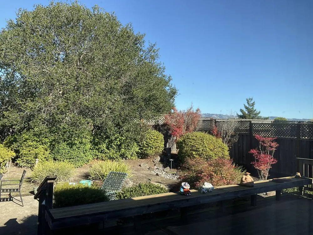 Local residential landscaping near you in Rohnert Park, CA by Lopez Landscaping Services