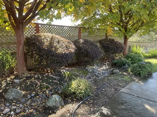 Lopez Landscaping Services