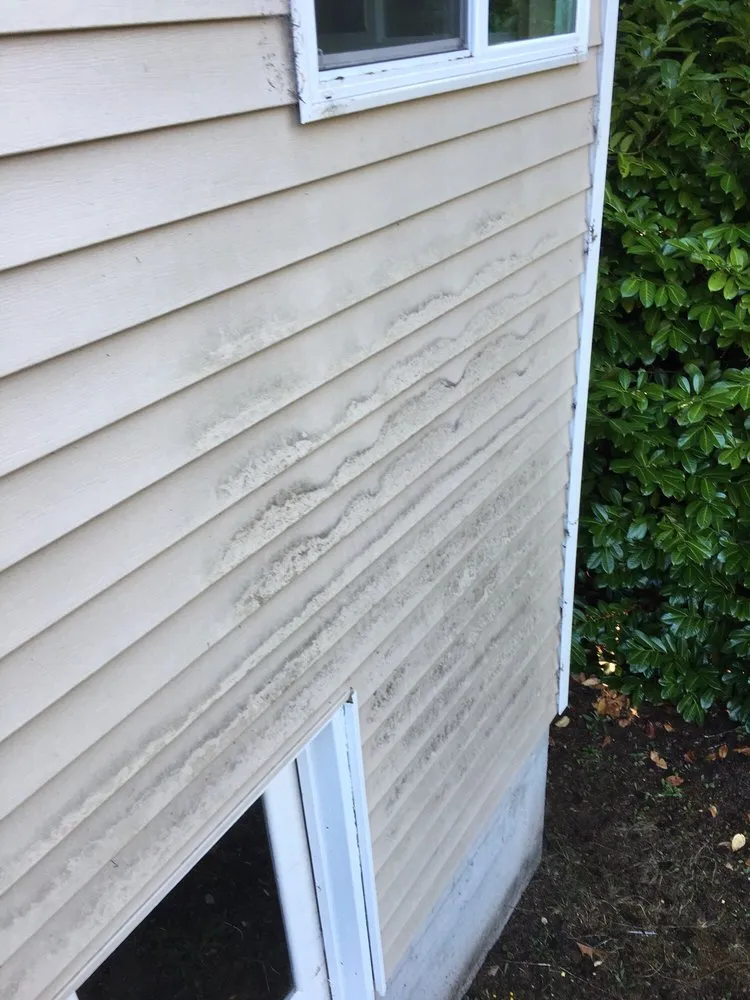 Top-rated yard cleanup service in Tenino, WA by Lopez Landscaping Services