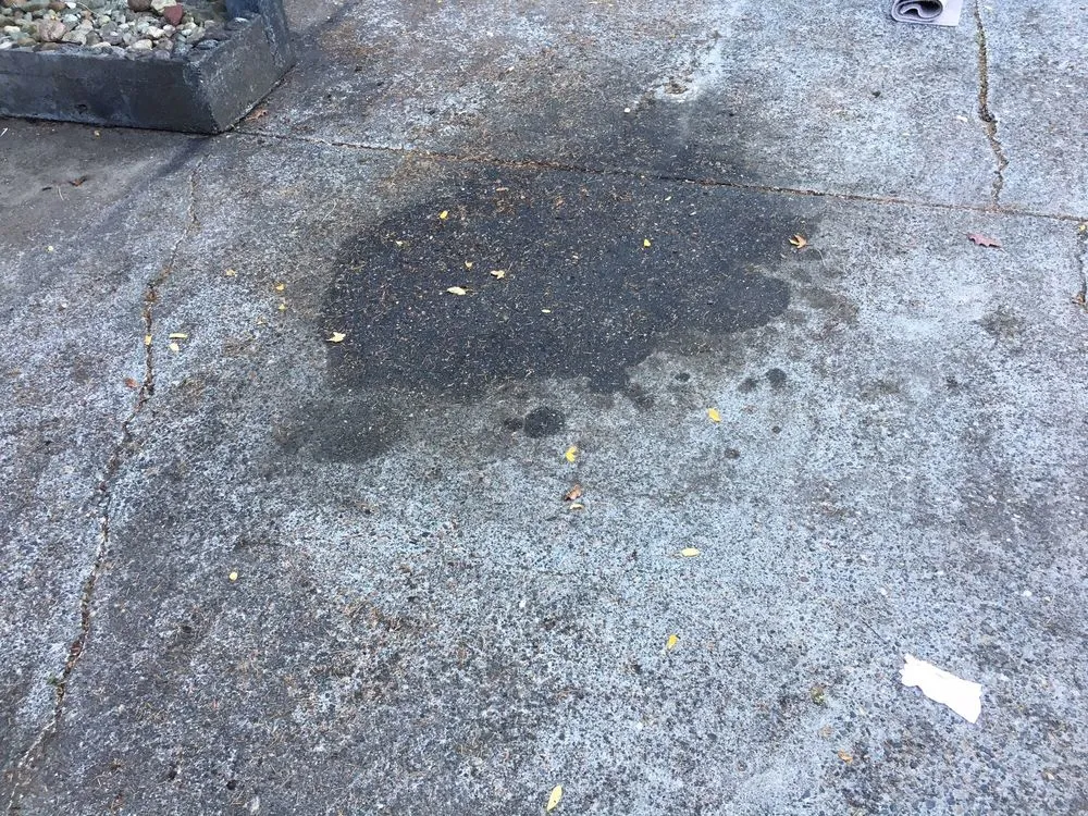 Top-rated outdoor landscaping experts serving Tenino, WA - Lopez Landscaping Services