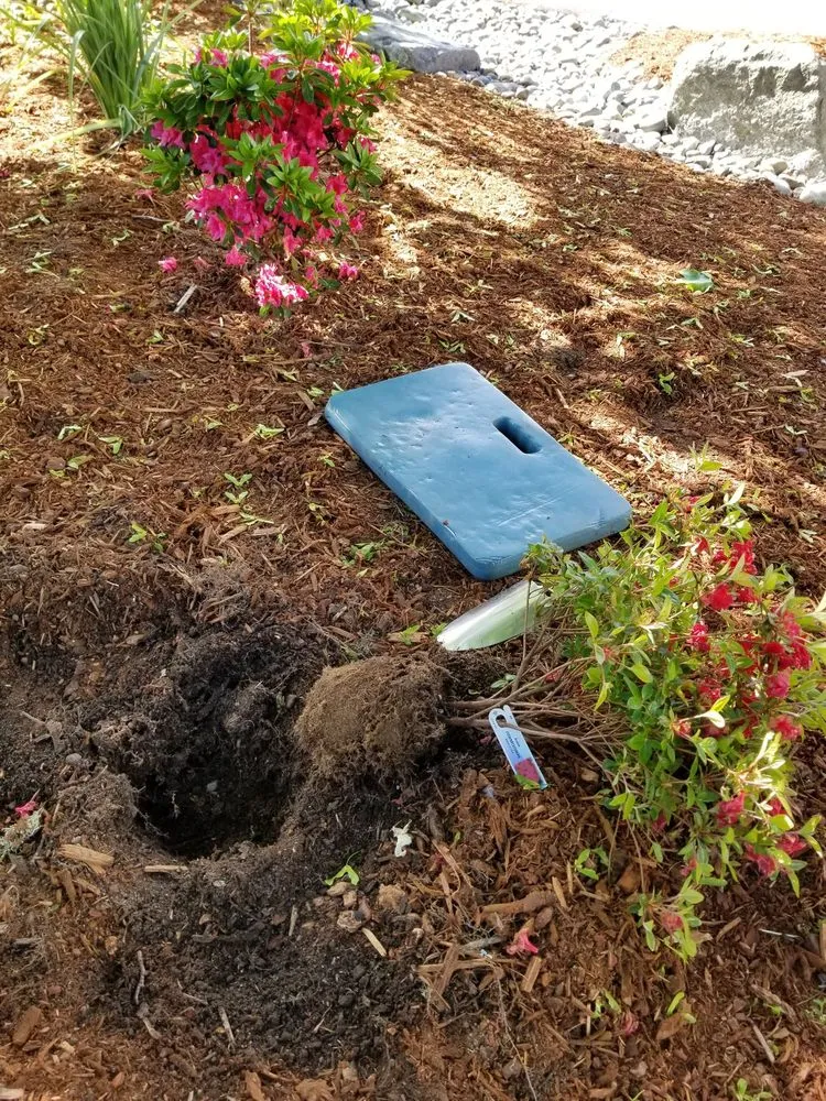 Trusted garden landscaping for year-round maintenance in Tenino, WA by Lopez Landscaping Services