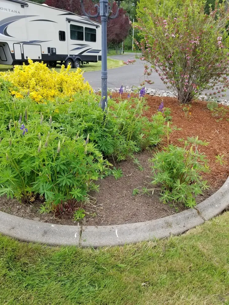 Affordable outdoor landscaping for residential properties in Tenino, WA by Lopez Landscaping Services