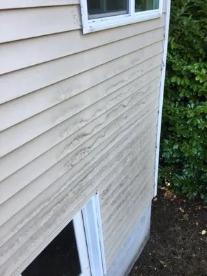 Lopez Landscaping Services